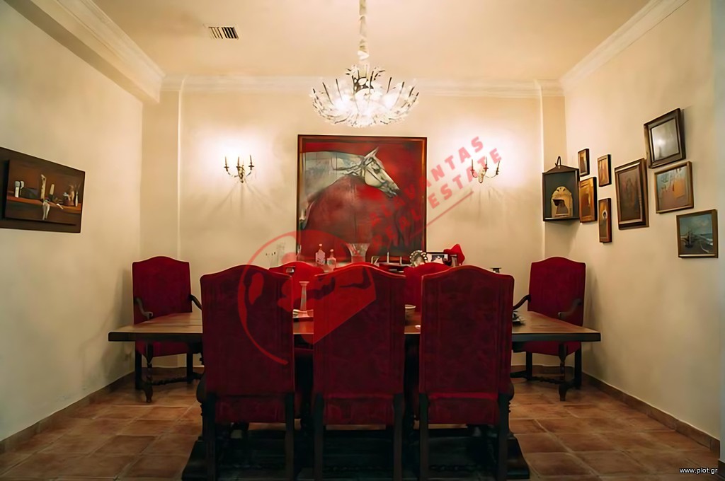 Βίλλα 350 τ.μ. πρός πώληση, Εβρος, Αλεξανδρούπολη
