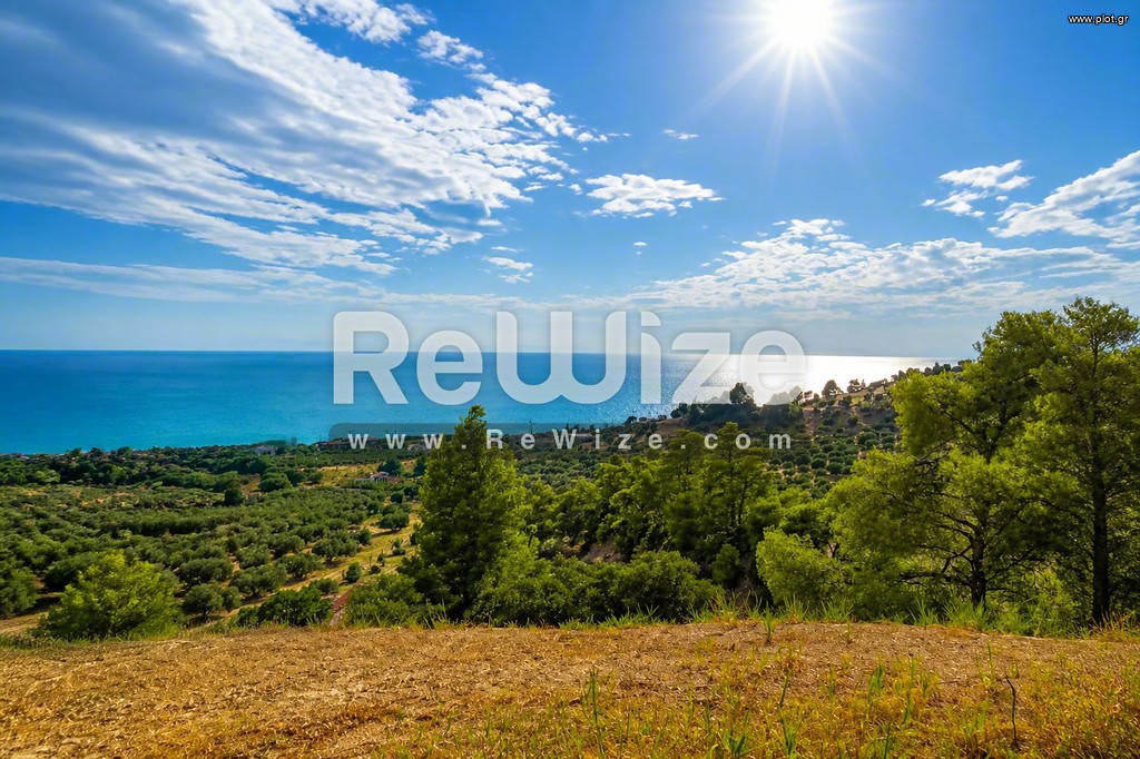 Οικόπεδο 4.100 τ.μ. προς πώληση, Νέα Σκιώνη