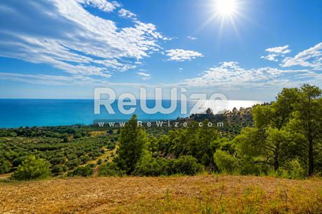 Οικόπεδο 4.100 τ.μ. προς πώληση