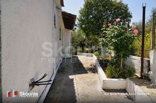 Μονοκατοικία 110 τ.μ. για πώληση, Μεσσηνία, Μεσσήνη-thumb-27