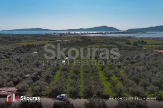 Αγροτεμάχια 10.244 τ.μ. για πώληση, Μεσσηνία, Πύλος-thumb-13