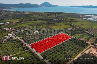 Αγροτεμάχια 10.244 τ.μ. για πώληση, Μεσσηνία, Πύλος-thumb-2