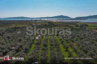 Αγροτεμάχια 10.244 τ.μ. για πώληση, Μεσσηνία, Πύλος-thumb-14