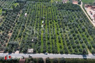 Αγροτεμάχια 10.244 τ.μ. για πώληση, Μεσσηνία, Πύλος-thumb-3
