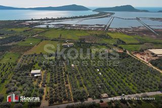 Αγροτεμάχια 10.244 τ.μ. για πώληση, Μεσσηνία, Πύλος-thumb-4