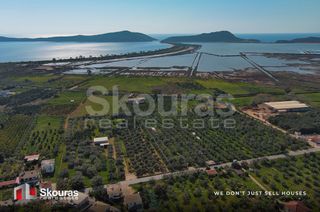 Αγροτεμάχια 10.244 τ.μ. για πώληση, Μεσσηνία, Πύλος-thumb-1