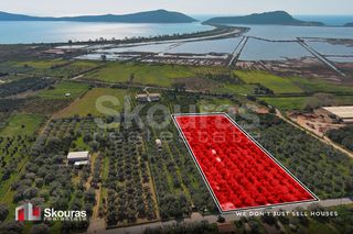 Αγροτεμάχια 10.244 τ.μ. για πώληση