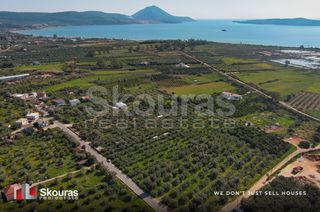 Αγροτεμάχια 10.244 τ.μ. για πώληση, Μεσσηνία, Πύλος-thumb-10