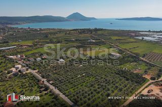 Αγροτεμάχια 10.244 τ.μ. για πώληση, Μεσσηνία, Πύλος-thumb-11