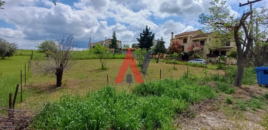 Οικόπεδο 625 τ.μ. προς πώληση, Τερψιθέα Λάρισας