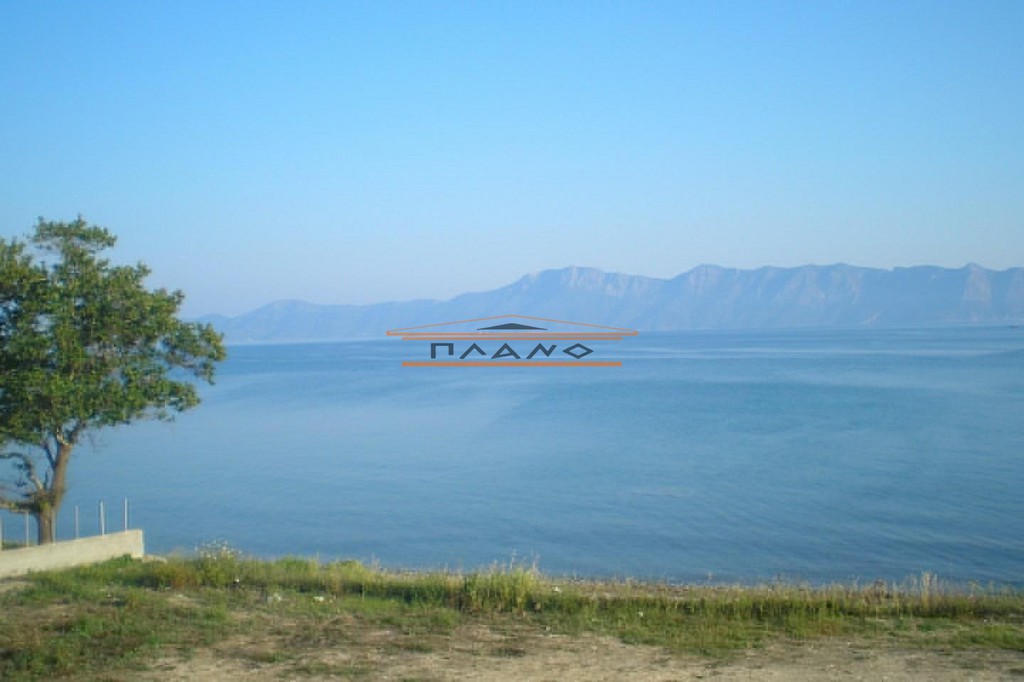 Μονοκατοικία 250 τ.μ. προς ενοικίαση, Κέντρο Αρτεμισίου