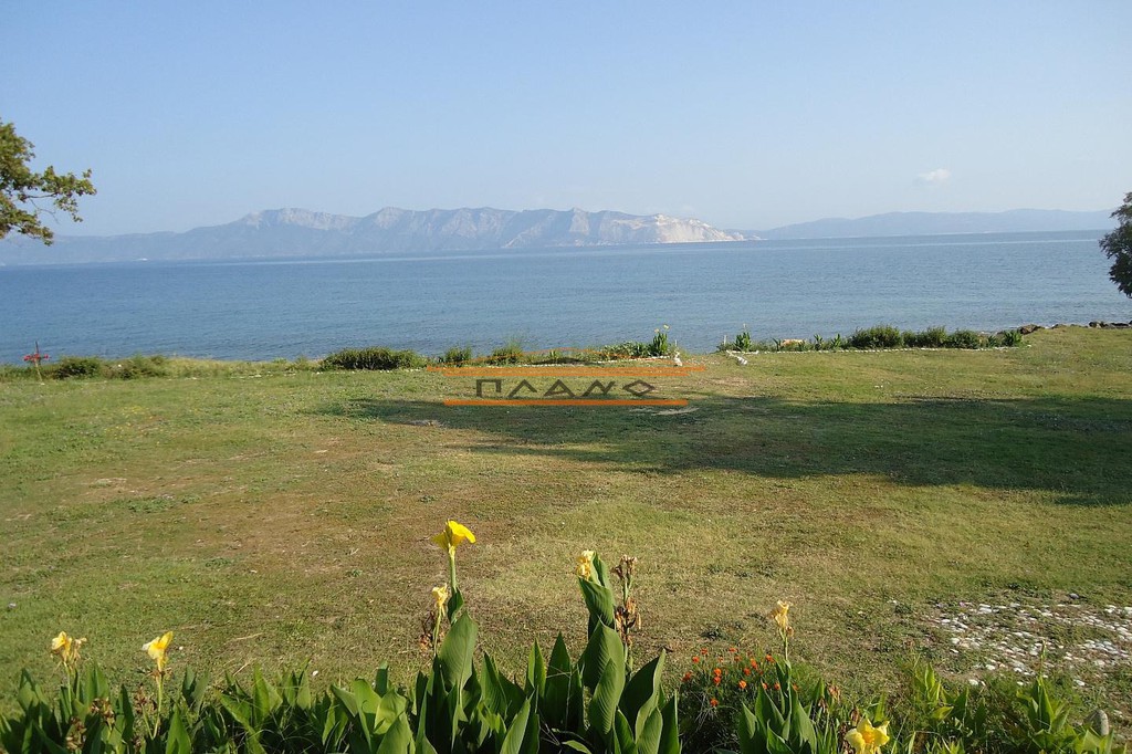 Μονοκατοικία 250 τ.μ. προς ενοικίαση, Κέντρο Αρτεμισίου