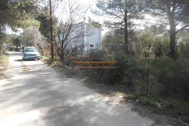 Οικόπεδο 350 τ.μ. για πώληση, Αθήνα - Βόρεια Προάστια, Άνοιξη