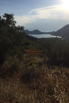 Οικόπεδο 5.000 τ.μ. προς πώληση
