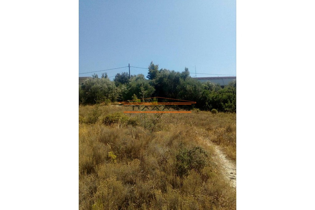 Οικόπεδο 4.000 τ.μ. πρός πώληση, Βοιωτία, Σχηματάρι