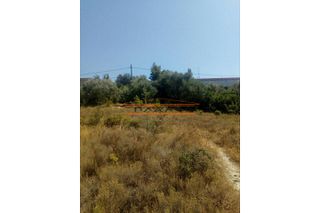 Οικόπεδο 4.000 τ.μ. πρός πώληση, Βοιωτία, Σχηματάρι-thumb-3
