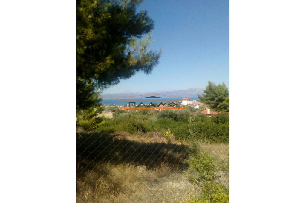 Οικόπεδο 4.000 τ.μ. πρός πώληση, Βοιωτία, Σχηματάρι