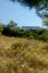 Οικόπεδο 4.000 τ.μ. πρός πώληση, Βοιωτία, Σχηματάρι-thumb-6