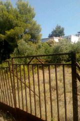 Οικόπεδο 4.000 τ.μ. πρός πώληση, Βοιωτία, Σχηματάρι-thumb-5