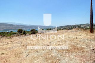 Αγροτεμάχια 2.544 τ.μ. για πώληση