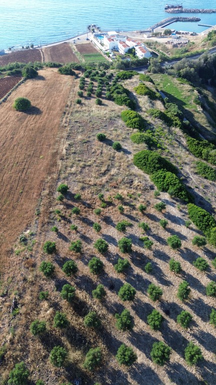 Αγροτεμάχια 10.722 τ.μ. πρός πώληση, Ν. Ρεθύμνου, Αρκάδι