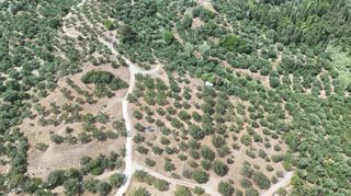 Οικόπεδο 4.567 τ.μ. για πώληση, Μεσσηνία, Καλαμάτα-thumb-3