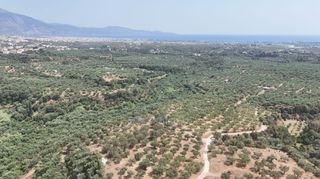 Οικόπεδο 4.567 τ.μ. για πώληση, Μεσσηνία, Καλαμάτα-thumb-5