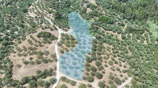 Οικόπεδο 4.567 τ.μ. για πώληση, Μεσσηνία, Καλαμάτα-thumb-2