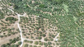 Οικόπεδο 4.567 τ.μ. για πώληση, Μεσσηνία, Καλαμάτα-thumb-6