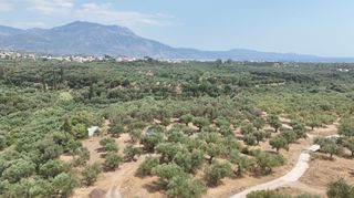 Οικόπεδο 4.567 τ.μ. για πώληση