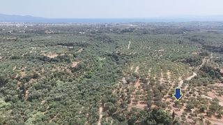 Οικόπεδο 4.567 τ.μ. για πώληση, Μεσσηνία, Καλαμάτα-thumb-1