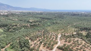 Οικόπεδο 4.567 τ.μ. για πώληση, Μεσσηνία, Καλαμάτα-thumb-9