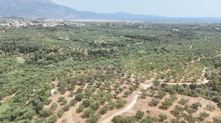 Οικόπεδο 4.567 τ.μ. για πώληση, Μεσσηνία, Καλαμάτα-thumb-8