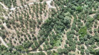 Οικόπεδο 4.567 τ.μ. για πώληση, Μεσσηνία, Καλαμάτα-thumb-7