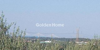 Οικόπεδο 3.500 τ.μ. για πώληση, Φωκίδα, Ευπάλιο-thumb-5