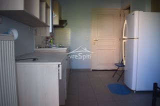Studio 22 sqm for rent