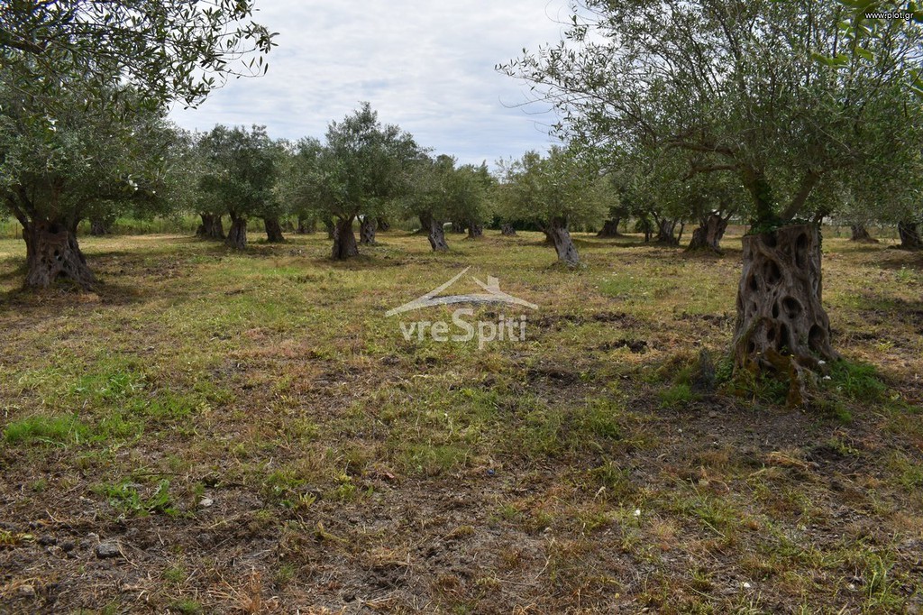 Οικόπεδο 2.040 τ.μ. προς πώληση, Πάργα