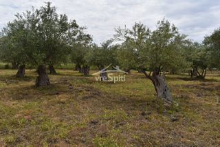 Οικόπεδο 2.040 τ.μ. για πώληση, Ν. Πρέβεζας, Πάργα-thumb-3