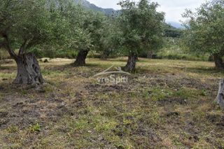 Οικόπεδο 2.040 τ.μ. για πώληση, Ν. Πρέβεζας, Πάργα-thumb-7