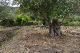 Οικόπεδο 2.040 τ.μ. για πώληση, Ν. Πρέβεζας, Πάργα-thumb-8