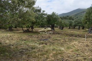 Οικόπεδο 2.040 τ.μ. για πώληση, Ν. Πρέβεζας, Πάργα-thumb-38