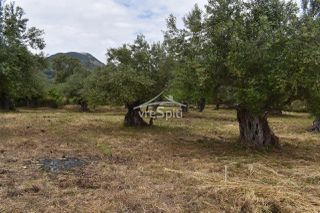 Οικόπεδο 2.040 τ.μ. για πώληση, Ν. Πρέβεζας, Πάργα-thumb-39