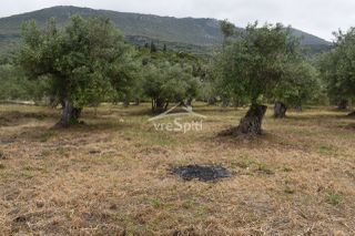 Οικόπεδο 2.040 τ.μ. για πώληση, Ν. Πρέβεζας, Πάργα-thumb-43