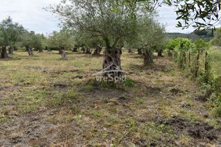 Οικόπεδο 2.040 τ.μ. για πώληση, Ν. Πρέβεζας, Πάργα-thumb-25