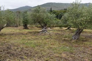 Οικόπεδο 2.040 τ.μ. για πώληση, Ν. Πρέβεζας, Πάργα-thumb-32