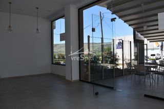 Κατάστημα 75 τ.μ. για ενοικίαση, Ν. Ιωαννίνων, Ιωάννινα-thumb-11