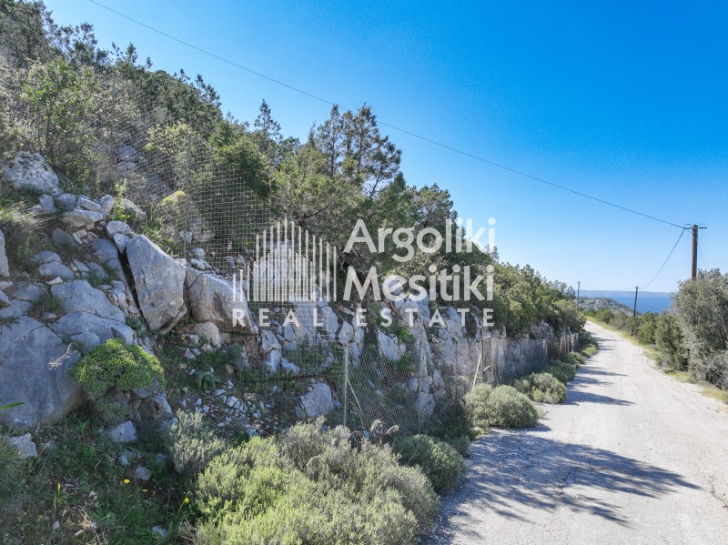 Οικόπεδο 2.004 τ.μ. προς πώληση, Πευκάλι