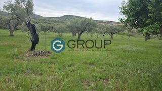 Αγροτεμάχια 4.494 τ.μ. για πώληση