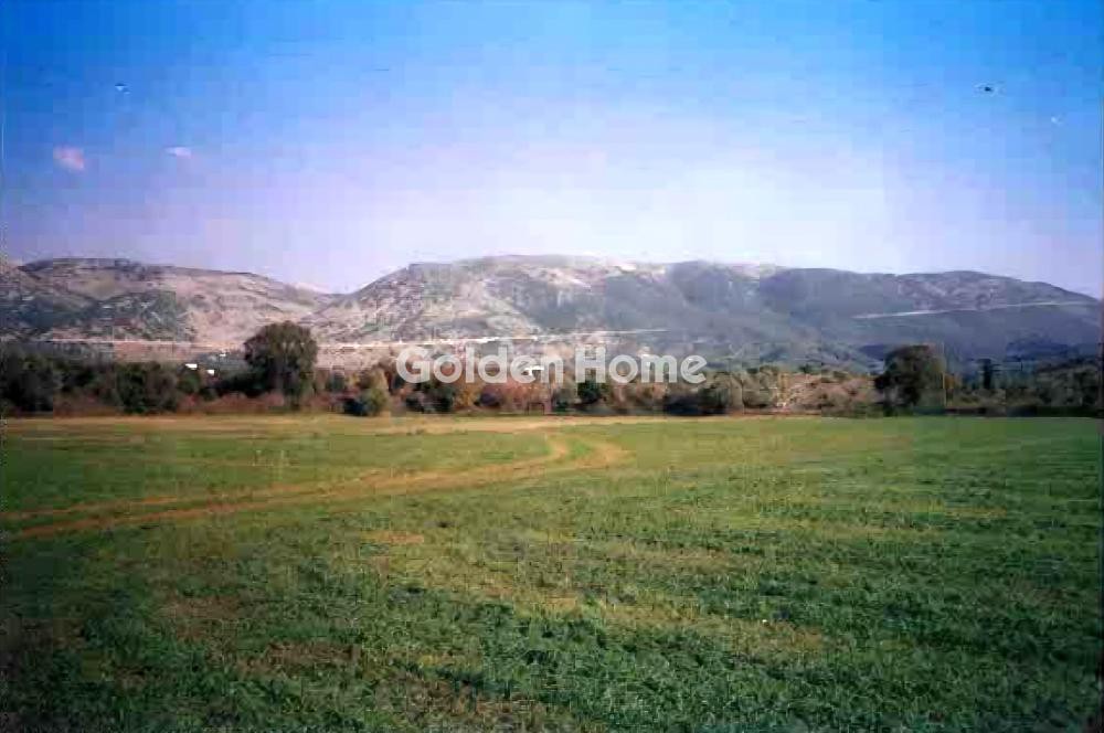 Αγροτεμάχια 10.000 τ.μ. προς πώληση, Κέντρο Συβότων