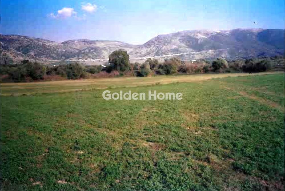 Αγροτεμάχια 10.000 τ.μ. προς πώληση, Κέντρο Συβότων